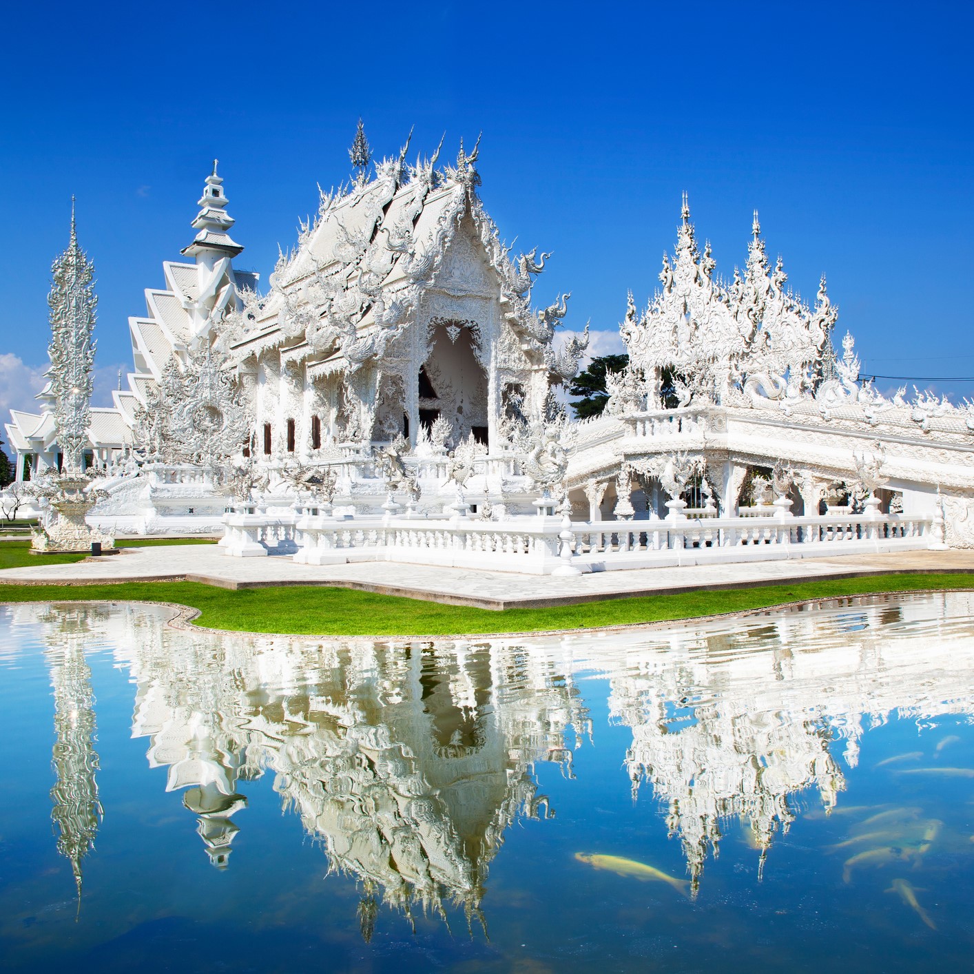 Tailandia Glutne Free (6)