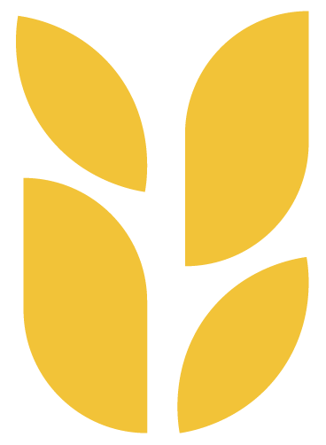 quiénes somos