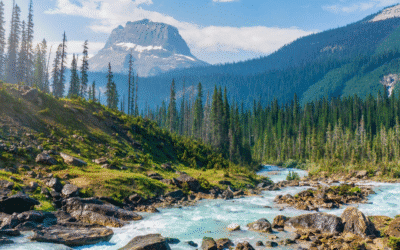 Recorre la costa oeste de Canadá
