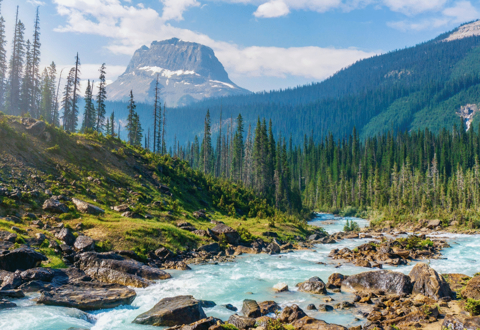 Recorre la costa oeste de Canadá