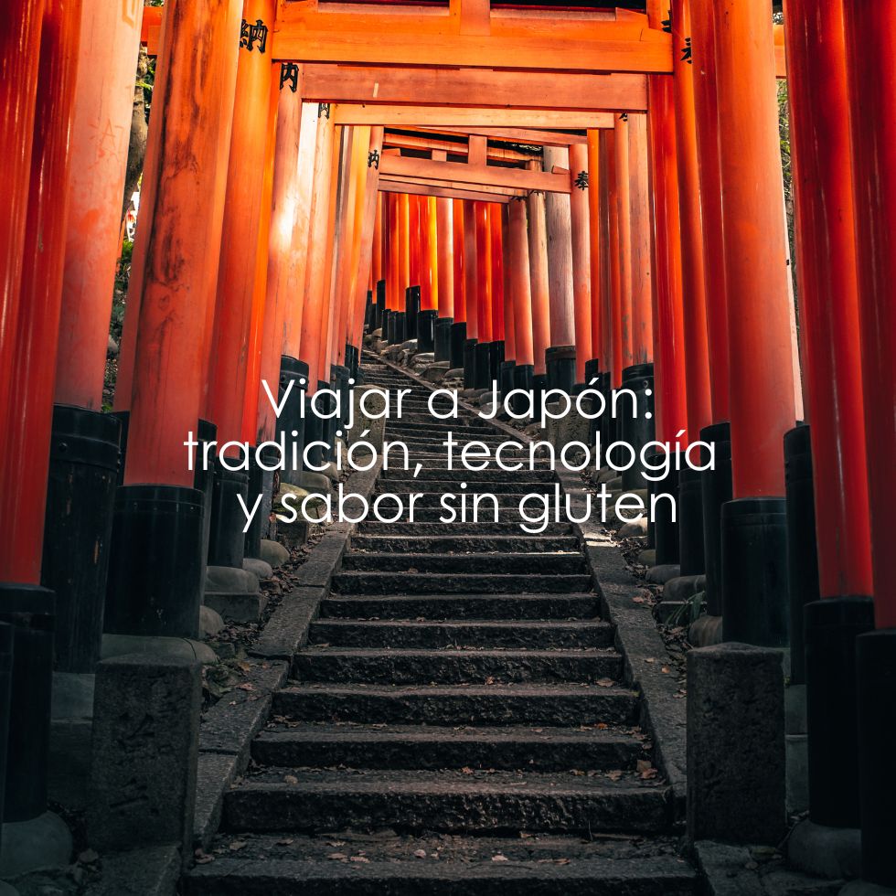 16 viajar a Japón