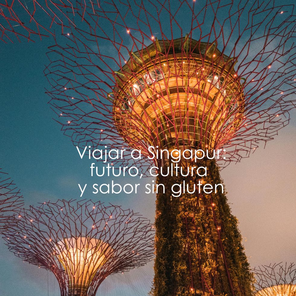 viajar a Singapur