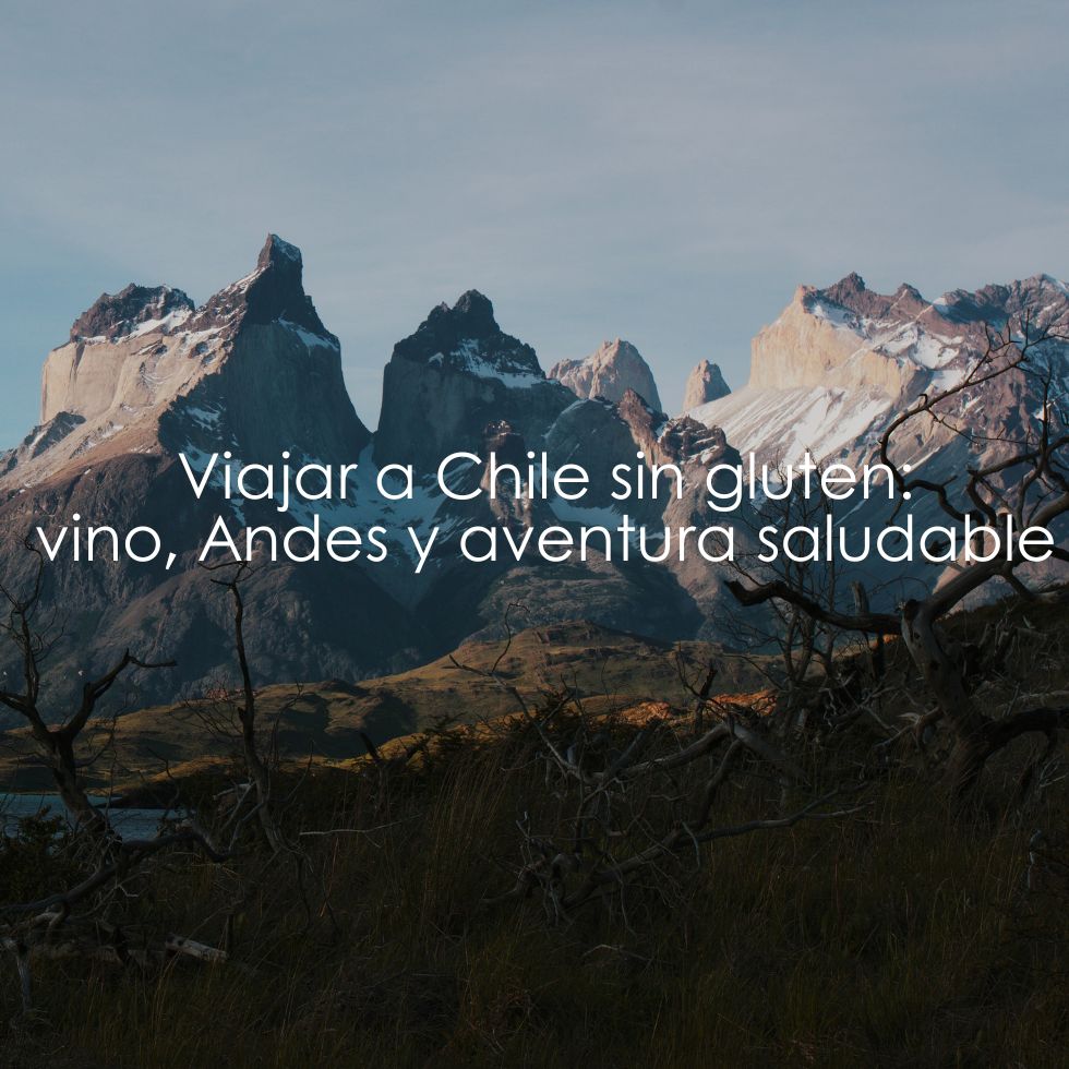 19 viajar a Chile sin gluten