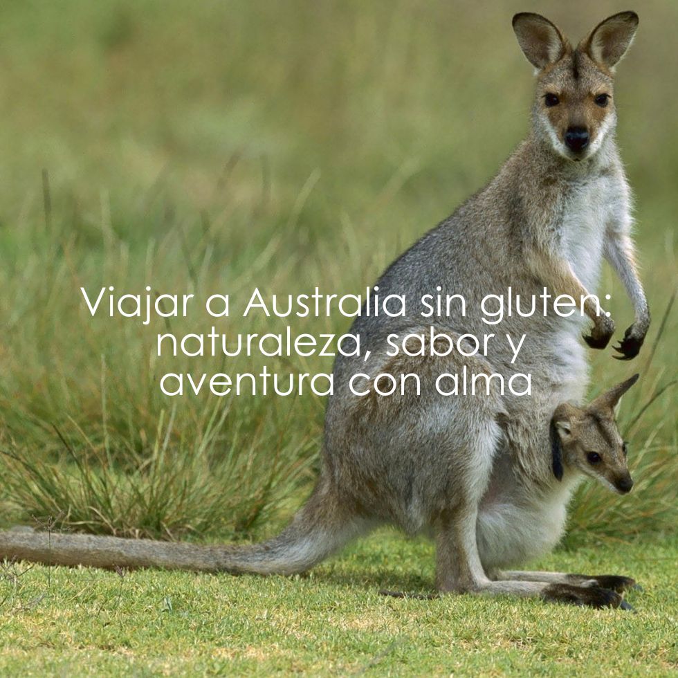 viajar a Australia sin gluten