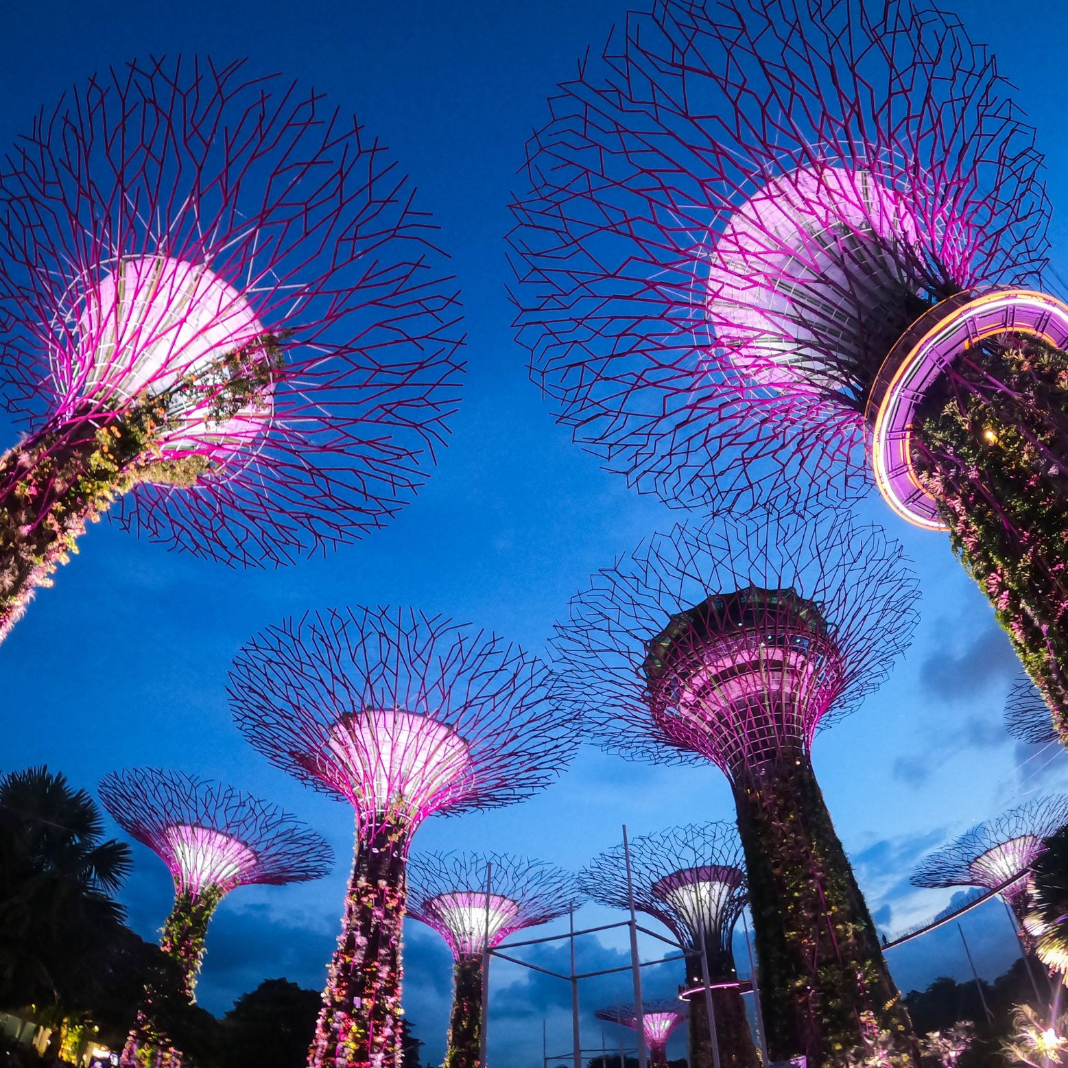 Singapur Sin Gluten