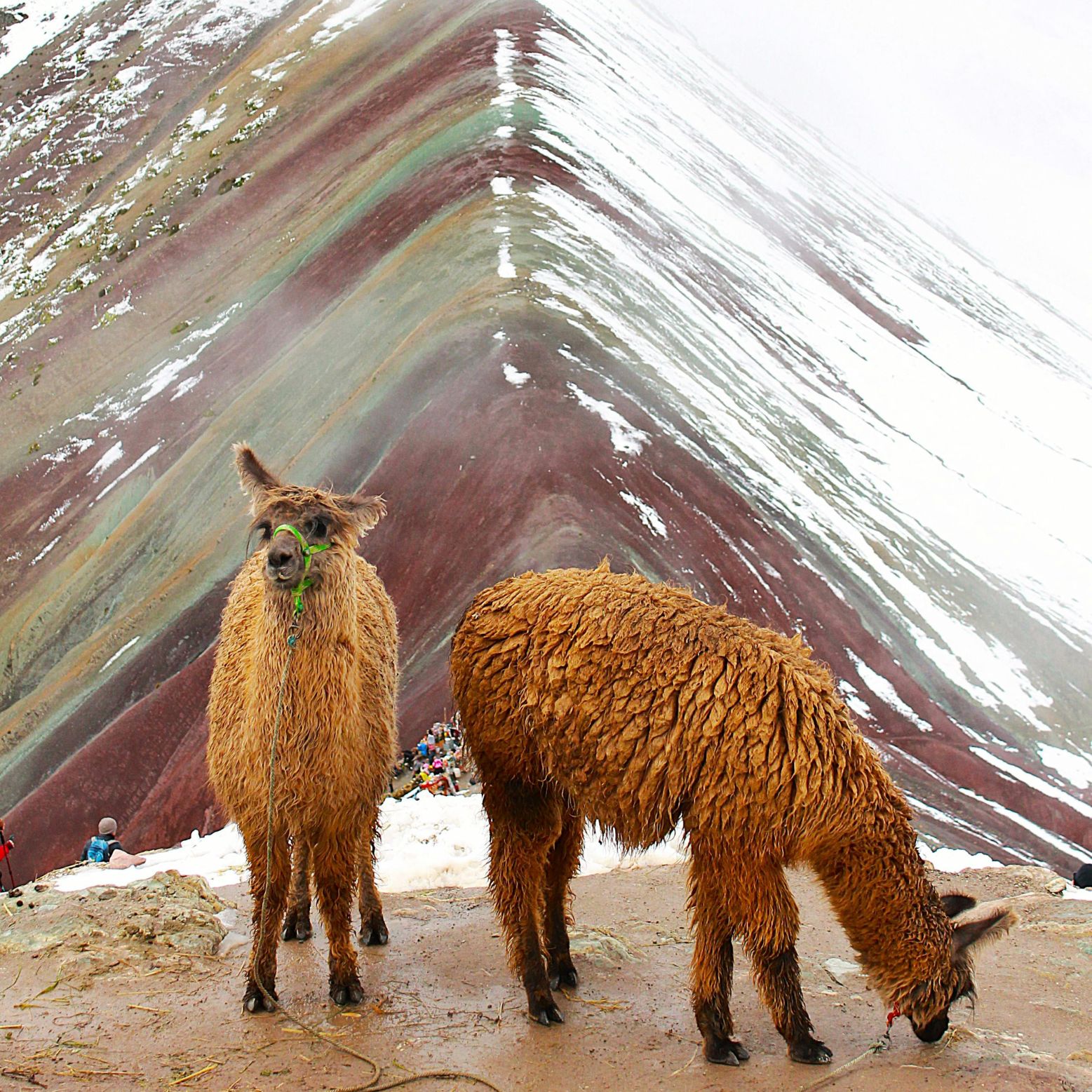 Carrousel foto grande Perú Sin Gluten