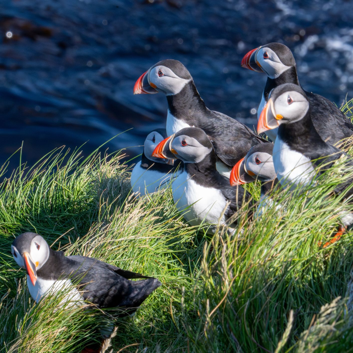 Islandia Sin Gluten 6 Islandia Sin Gluten