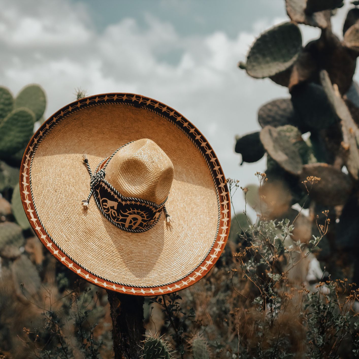 México Sin Gluten 5 México Sin Gluten