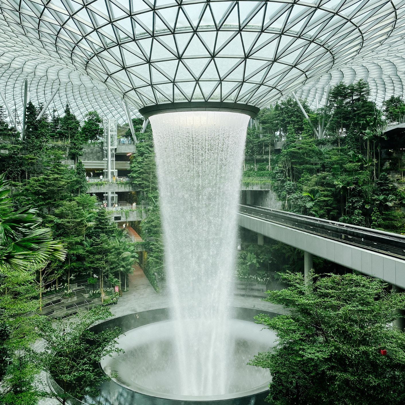 Singapur sin gluten 1 Singapur sin gluten